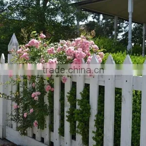Outdoor Wooden Garden Fence thumbnail-6