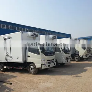 Fiberglass Truck Body/refrigerated/freezer Van Body for Fish thumbnail-2