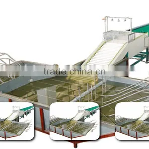 Fruit Vegetable Washing Machine(FS-QXDL) thumbnail-1