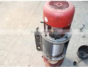 Electric Hoist Winch With Rope and Remote Control thumbnail-4