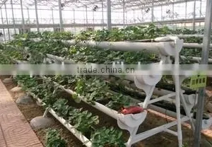 Hydroponic System for Plant Growth thumbnail-1