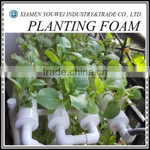 Garden Planting Foam For Vegetable/Flowers thumbnail-1