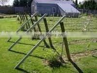 High Quality Galvanzied Grape Vineyard Stake thumbnail-1