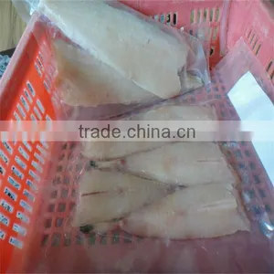 Seafood and Frozen Good Packing Fish thumbnail-1