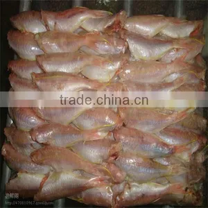 the Importer Dried Fish thumbnail-1