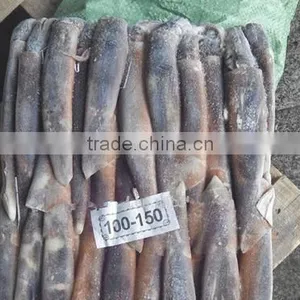 2016 Grade A Frozen Illex Squid 150g-200g for Sale thumbnail-2