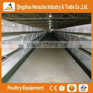 China Trade Assurance Chicken Bird Cage for Sale thumbnail-1
