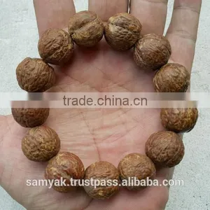 Buddha Chitta 13 Beads Bodhi Seed Genuine Indonesian Phoenix Eye Mala Phrengba thumbnail-2