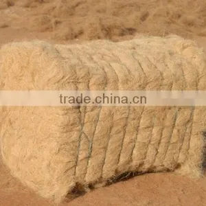 Coconut Fiber thumbnail-1
