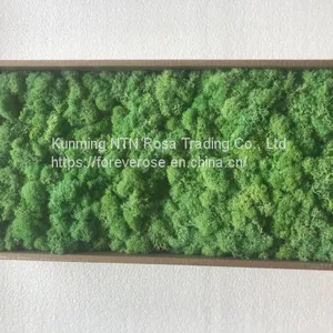 Hot Selling Green Moss Grass Wall for Decoration thumbnail-1