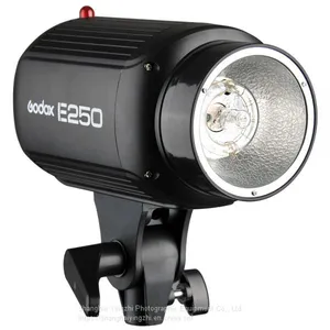 Godox E Series 250W Studio Flash for Photography(250WS Professional Studio Flash Light) thumbnail-1