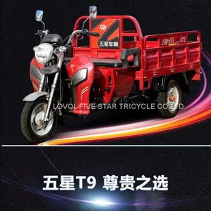 Gasoline Tricycle Cargo Loader Lovol Three Wheeler Mali Ethiopia Ghana Bukina Faso Tanzania Kenya Senegal Togo Benin Nigeira Mauritania Angola Burundi Chad Cameroon C ô te D'Ivoire Gabon Guinea Mozambique Rwanda Congo Uganda Zimbabwe thumbnail-2