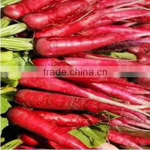 Food Additives Radish Red Pigment thumbnail-2