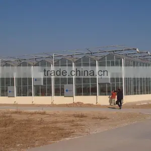Double Layer Inflated Poly Film Greenhouses thumbnail-4