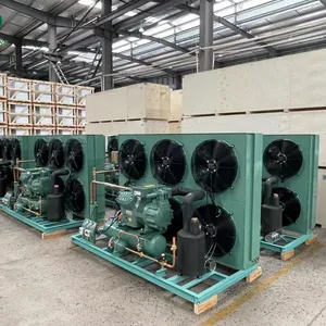 Cold Storage Unit for Low Temperature Food Condensing Units Condensing Unit Refrigeration thumbnail-1