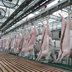 Horizontal Sheep Carcass Splitting Saw Sheep Evisceration Table Complete Mutton Processing Machinery thumbnail-2