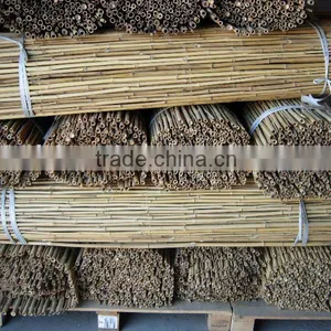 Bamboo Pole Sun-027 thumbnail-1