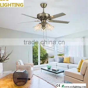 Indoor Fancy Lights With Ceiling Fans thumbnail-1