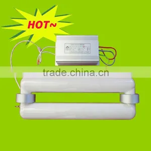 Price Induction Lamp 40w thumbnail-1