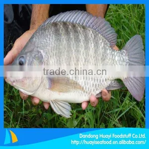 Frozen Fish Tilapia thumbnail-1