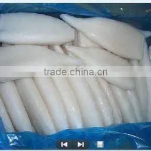 Frozen Todarodes Squid Tube u5 u7 U10 thumbnail-1