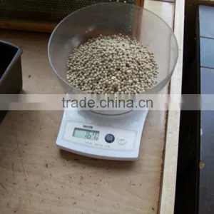 High Quality Vietnam White Pepper thumbnail-1