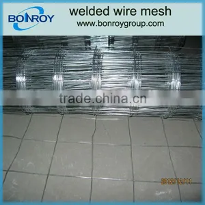 Steel Welded Wire Mesh thumbnail-1
