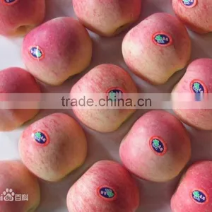 Fresh Gala Apple With Good Quality and Good Taste for Sale thumbnail-3
