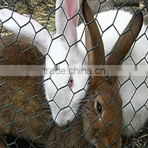 Electro Galvanized Hexagonal Wire Mesh 10mm for Poultry Feeding thumbnail-1