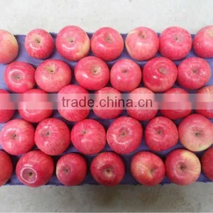 2015 Shandong FUJI APPLE thumbnail-1