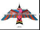 Kites thumbnail-1