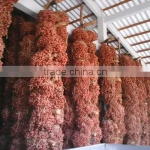 High Quality Red Onion/Shallot -(website: Julia.huynh7) thumbnail-1