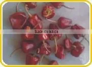 Mundu Red Chilles From Tamilnadu thumbnail-4