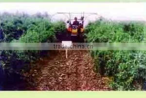 Ningxia Love Goji Supply Chain Corporation company overview - view 1 thumbnail