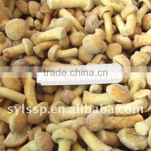 2014 Crop Frozen Nameko Mushroom(IQF) thumbnail-1