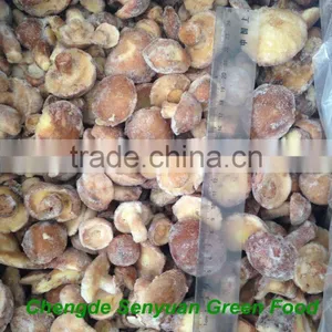 IQF SUILLUS GRANULATUS thumbnail-2