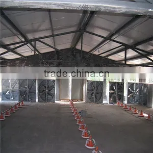 Meat Chicken Poultry Feeding Line thumbnail-3