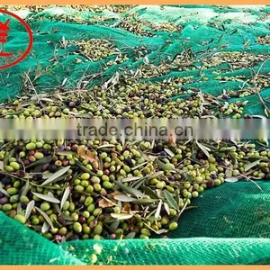 HDPE Knitted Olive Picking Net thumbnail-2