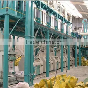China Manufacturer Screw Wheat Brusher thumbnail-4