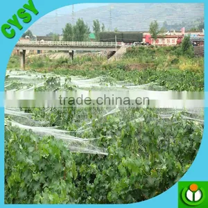Best Selling Anti-bird Net, Professional Bird Net,Capture the Mist Net thumbnail-5