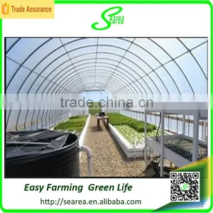 Single Span Greenhouse for Vegetable Fruits Agricultural Greenhouses thumbnail-1