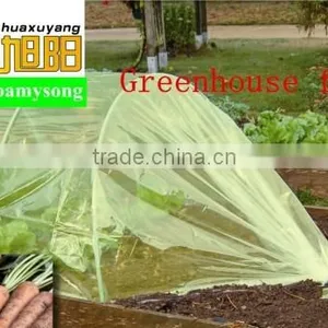 Agricultural Garden Greenhouse thumbnail-1