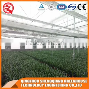 2017 8mm Glass Greenhouse With High Quality Steel Frame for Sale thumbnail-4