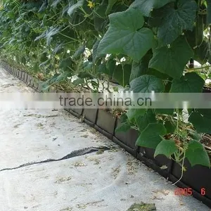 Growing Bench thumbnail-3