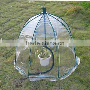 Mini Greenhouse thumbnail-1