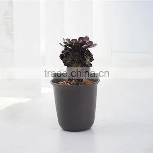 Plastic Round Resin Succulent Plant Pot/Cactus Plant Pot Flower Pot thumbnail-1