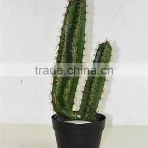 SJ3001105 Artificial Plant Cactus Home Decoration thumbnail-1
