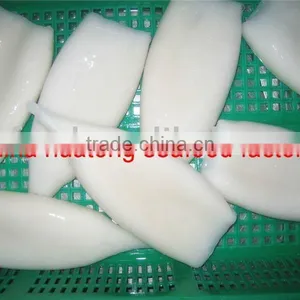 Frozen Squid Tube U5 thumbnail-1