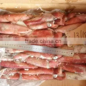 Frozen Whole Round Red Squid thumbnail-1