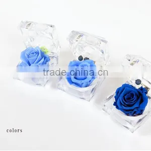Natural Rose Preserved Flower for Thanksgiving and Christmas Gift thumbnail-2
